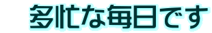 @ZȖł