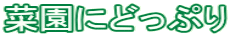 ؉ɂǂՂ